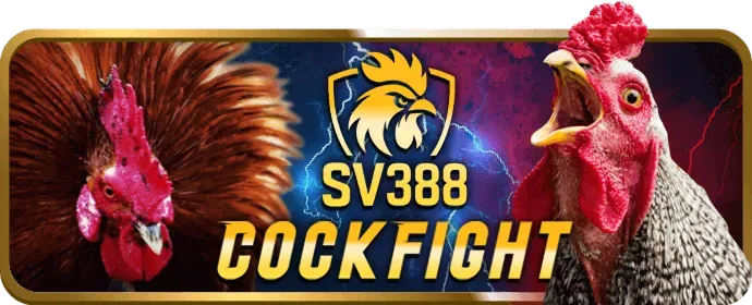 Chương trình hoàn trả đá gà hàng tuần tại 09vip casino